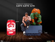 Cargar imagen en el visor de la galería, Pre-Venta: BLANKA &amp; FEI LONG Collectible Set by PCS
