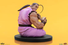Cargar imagen en el visor de la galería, RYU &amp; DAN (set de 2 estatuas) Collectible Set by PCS
