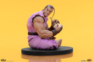 RYU & DAN (set de 2 estatuas) Collectible Set by PCS
