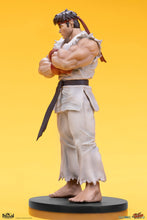 Cargar imagen en el visor de la galería, RYU &amp; DAN (set de 2 estatuas) Collectible Set by PCS
