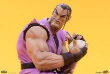 Cargar imagen en el visor de la galería, RYU &amp; DAN (set de 2 estatuas) Collectible Set by PCS
