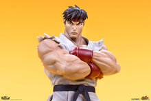 Cargar imagen en el visor de la galería, RYU &amp; DAN (set de 2 estatuas) Collectible Set by PCS
