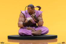 Cargar imagen en el visor de la galería, RYU &amp; DAN (set de 2 estatuas) Collectible Set by PCS
